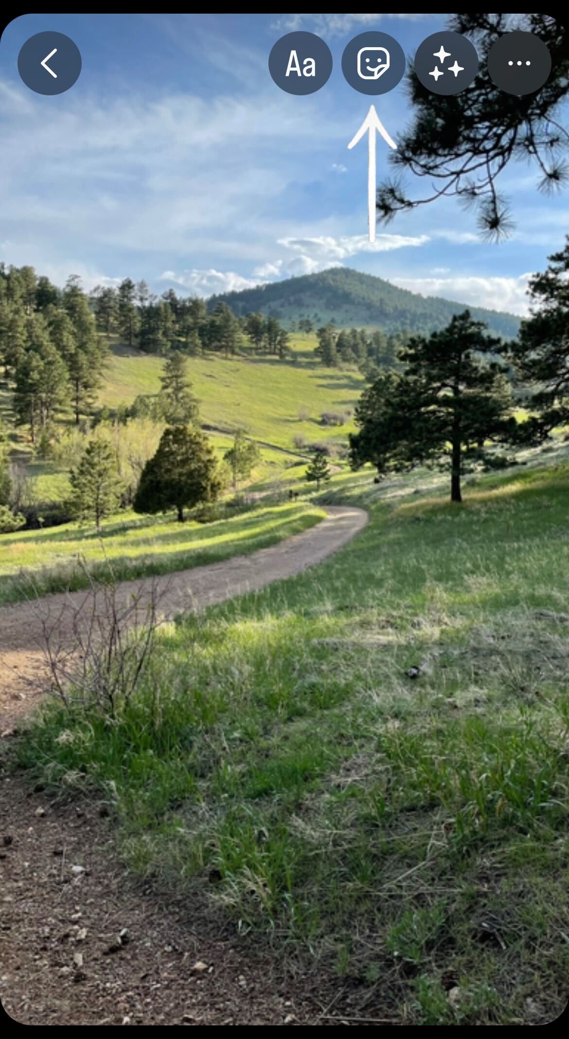 a close up of a green field with trees in the background