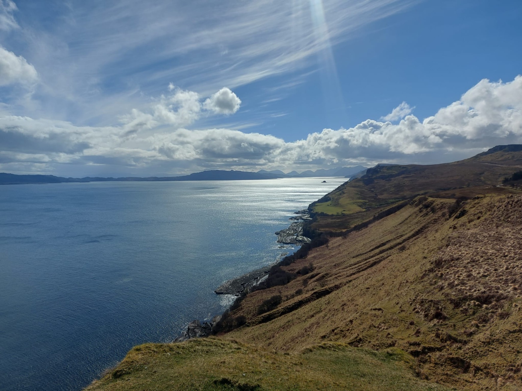 a close up of a hillside next to a body of water