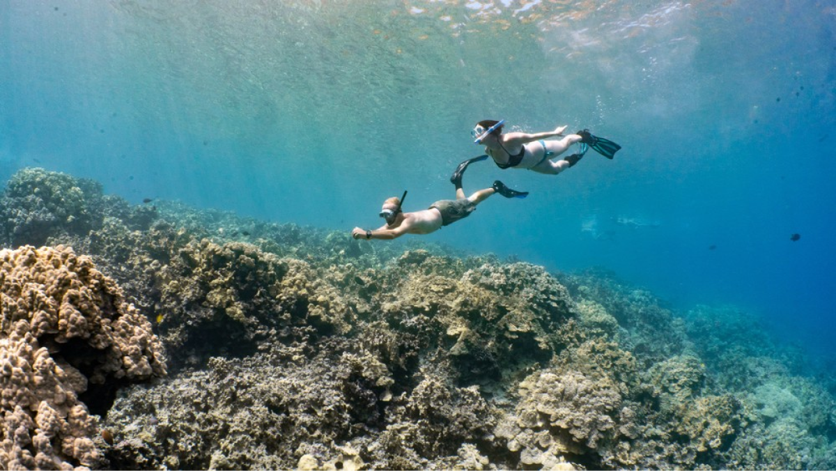 a man flying through the air while riding a wave in the ocean